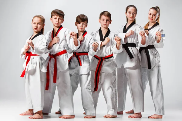 The studio shot of group of kids training karate martial arts — Stock Photo, Image