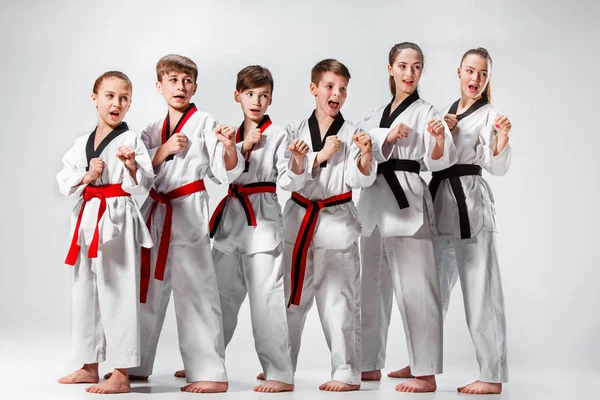 The studio shot of group of kids training karate martial arts — Stock Photo, Image