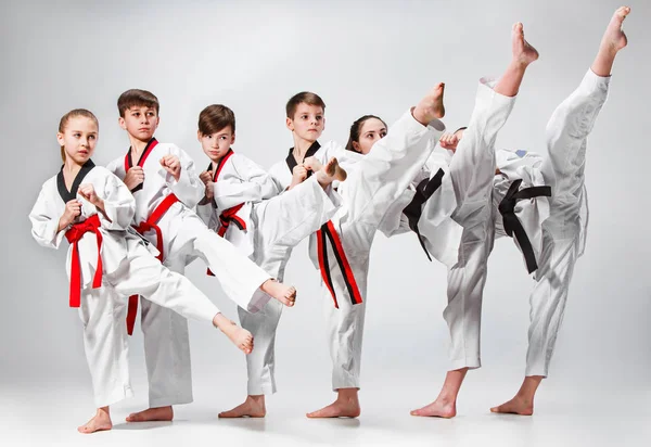 The studio shot of group of kids training karate martial arts — Stock Photo, Image