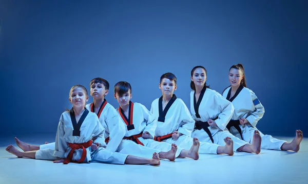 Студийный кадр группы детей, обучающих каратэ боевым искусствам — стоковое фото