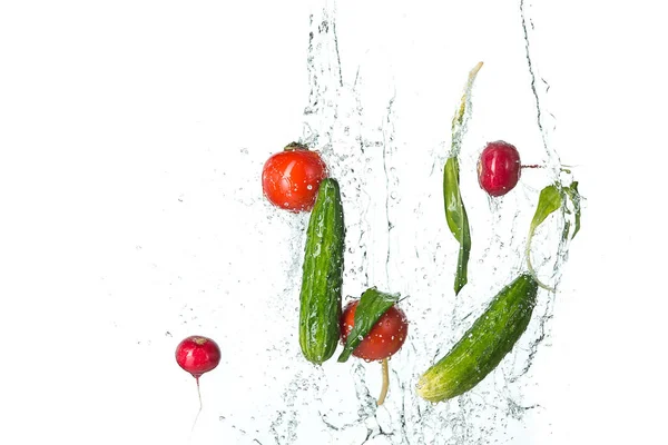 Los tomates frescos, pepinos, rábano en spray de agua . — Foto de Stock