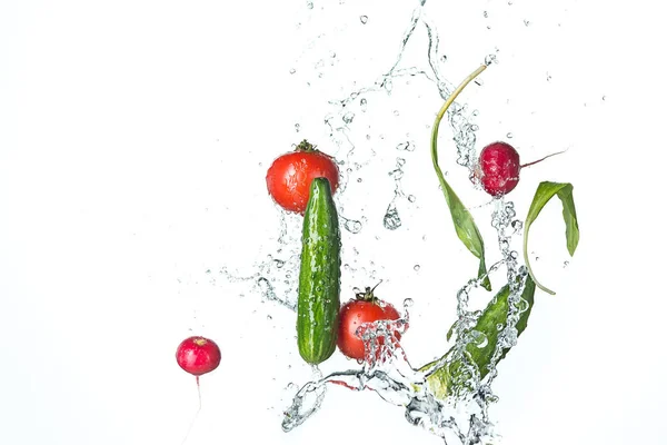 The fresh tomatos, cucumbers, radish in spray of water. — Stock Photo, Image