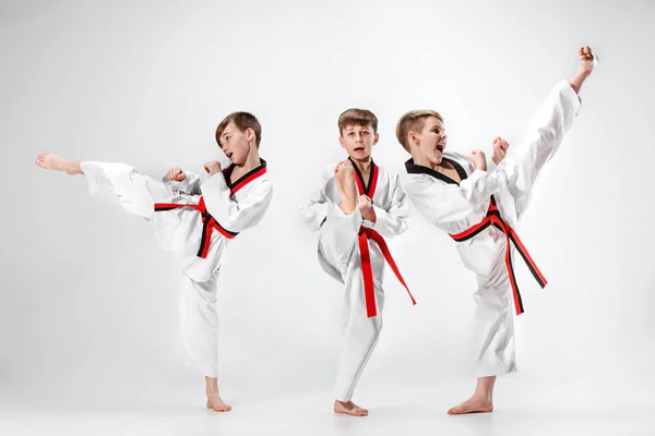 Den studio skottet av grupp kids utbildning karate kampsport — Stockfoto