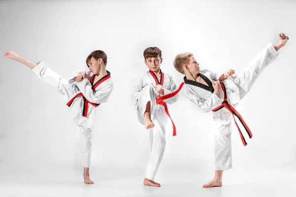 A foto de estúdio de grupo de crianças que treinam artes marciais de karatê — Fotografia de Stock