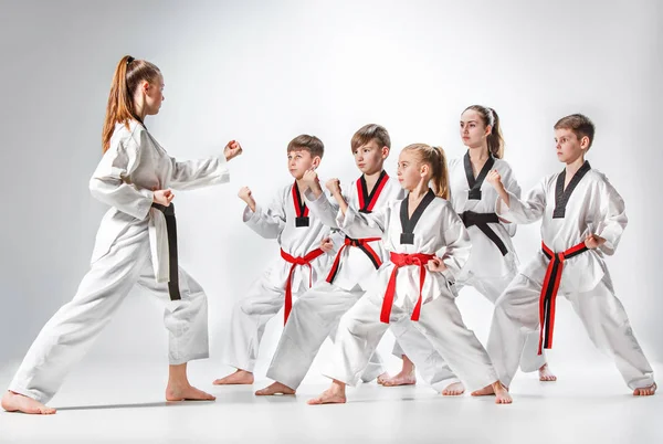 Студійний знімок групи дітей, які навчають карате бойових мистецтв — стокове фото