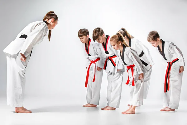 The studio shot of group of kids training karate martial arts — Stock Photo, Image