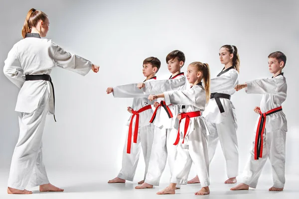 The studio shot of group of kids training karate martial arts