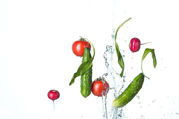 The fresh tomatos, cucumbers, radish in spray of water. — Stock Photo, Image
