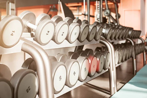 Rangées d'haltères dans la salle de gym — Photo