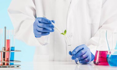 Plant sciences in lab clipart