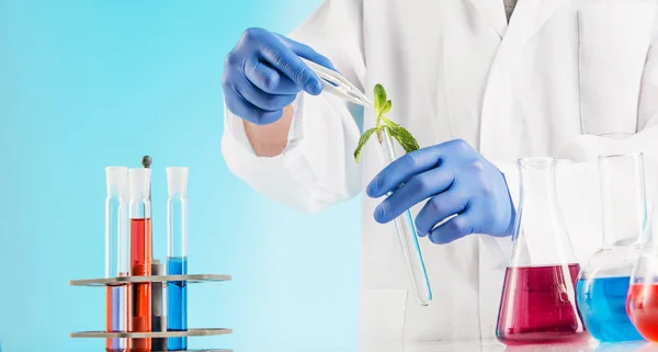 Rostlinných věd v laboratoři — Stock fotografie