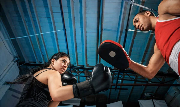 El boxeador femenino y afroamericano boxeador masculino . —  Fotos de Stock