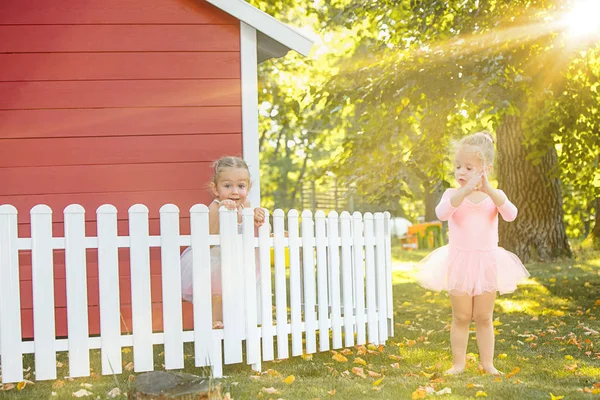 As duas meninas no playground contra parque ou floresta verde — Fotografia de Stock