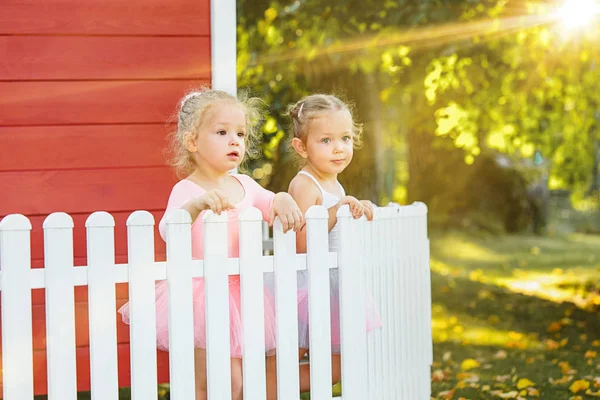 Las dos niñas en el patio contra el parque o el bosque verde — Foto de Stock