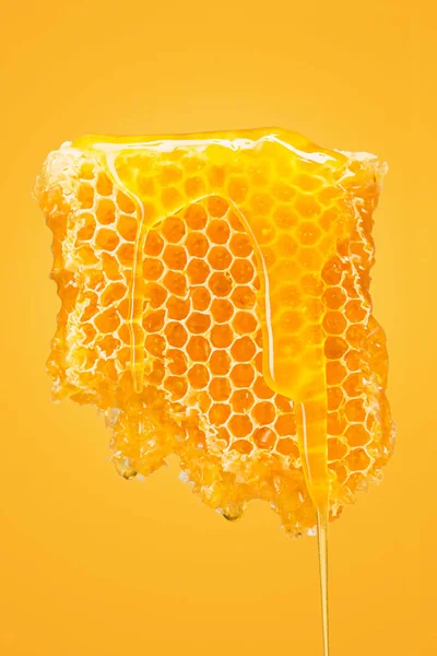 Favo de mel doce em amarelo — Fotografia de Stock