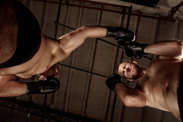 Dos hombres musculosos peleando, culturistas golpeándose, entrenándose en artes marciales, boxeo, jiu jitsu —  Fotos de Stock