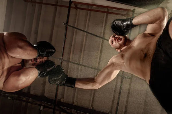 Two muscular men fighting, bodybuilders punching each other, training in martial arts, boxing, jiu jitsu — Stock Photo, Image