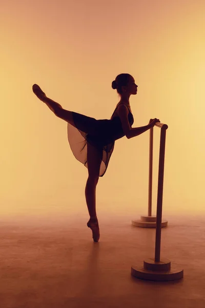 A jovem bailarina que se estende no bar — Fotografia de Stock