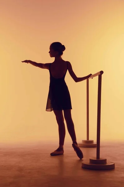 The young ballerina stretching on the bar — Stock Photo, Image