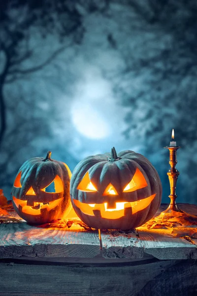 Halloween Pumpkins Dark Forest Blue Background — Stock Photo, Image