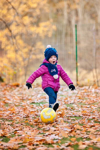 Маленькая девочка играет в осенние листья — стоковое фото