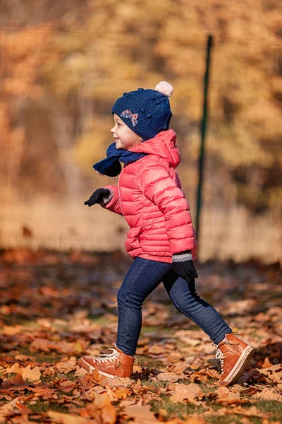 Sonbahar yaprakları oynarken küçük bebek kız — Stok fotoğraf