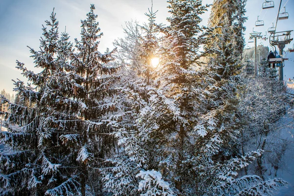 Esquiadores en el telesilla subiendo a la estación de esquí con un hermoso fondo de pistas cubiertas de nieve, bosques, colinas en Bukovel, Ucrania —  Fotos de Stock