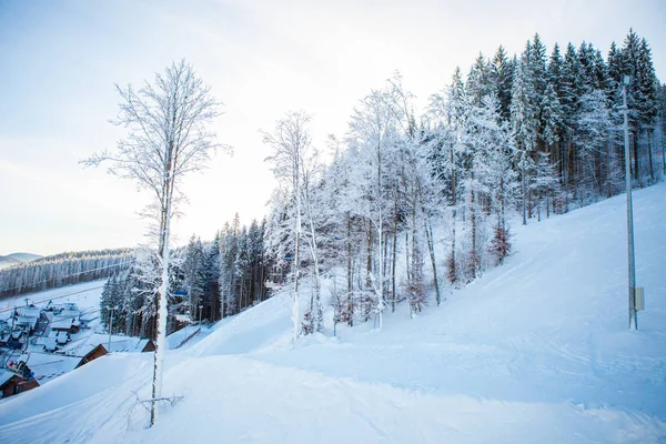 View of beautiful snowy mountains, forests — Stock Photo, Image