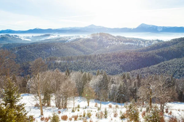 Veduta di belle montagne innevate, boschi — Foto Stock