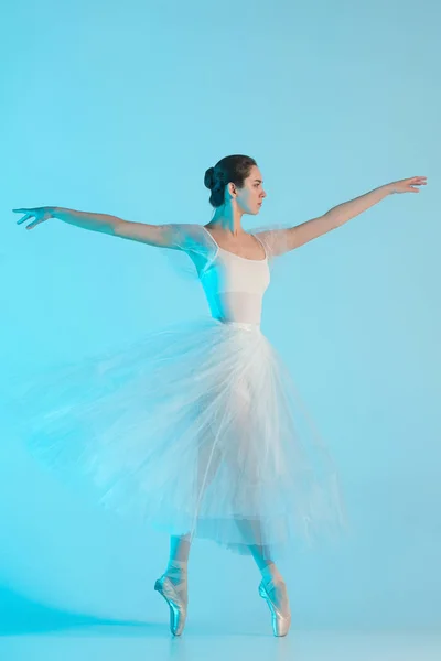 Jeune et incroyablement belle ballerine danse dans un studio bleu — Photo