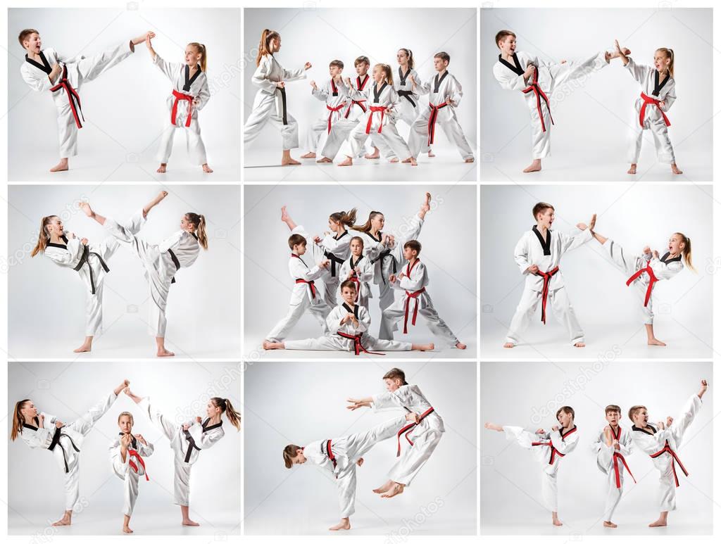 The studio shot of group of kids training karate martial arts