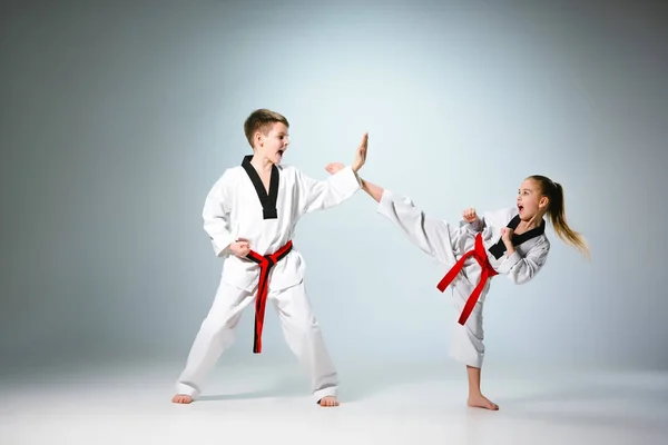 A foto de estúdio de grupo de crianças que treinam artes marciais de karatê — Fotografia de Stock