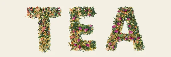 Folha de chá com flores e chá palavra fruta no fundo branco, vista superior — Fotografia de Stock