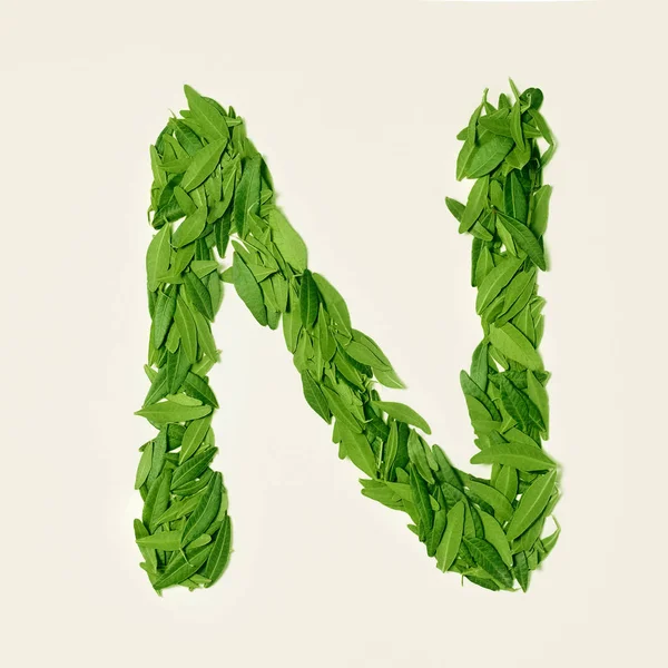 Den gröna torr teblad, bokstaven N på vit bakgrund, ovanifrån — Stockfoto
