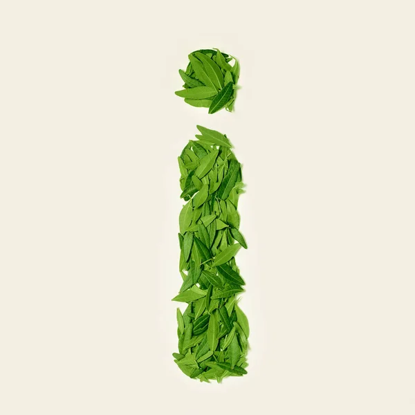 Zielona herbata liść wyschnięcia, litera I na tle, widok z góry — Zdjęcie stockowe