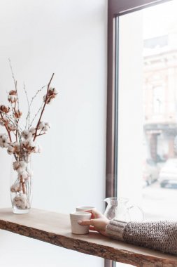 Kahve, ağaç, ahşap pencere Şubesi