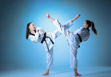 Karate dövüş sanatları eğitim çocuklar grup stüdyo çekim