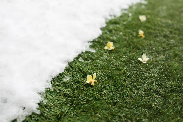 Incontro neve su erba verde da vicino - tra inverno e primavera concetto di sfondo — Foto Stock