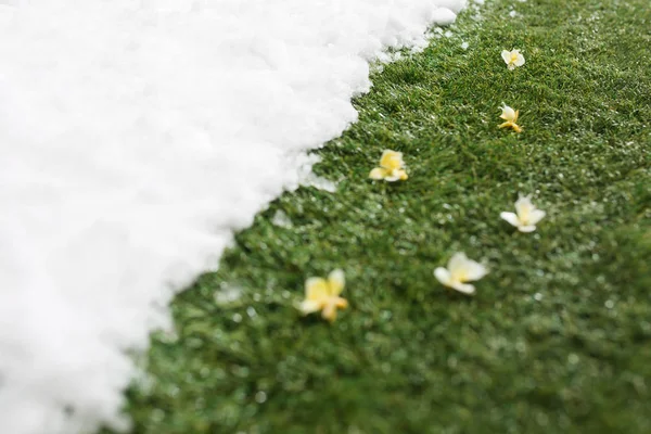 Incontro neve su erba verde da vicino - tra inverno e primavera concetto di sfondo — Foto Stock