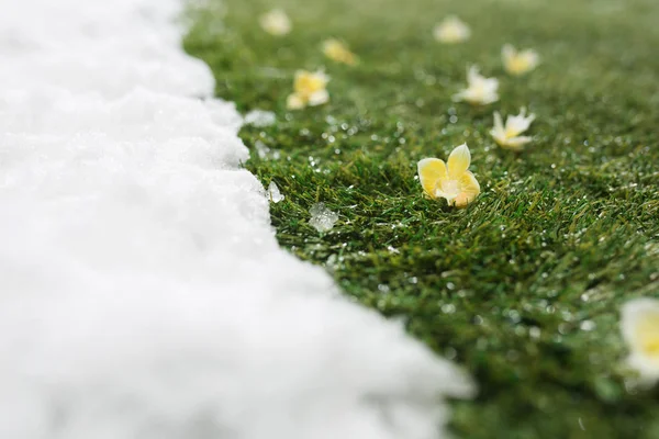 Incontro neve su erba verde da vicino - tra inverno e primavera concetto di sfondo — Foto Stock