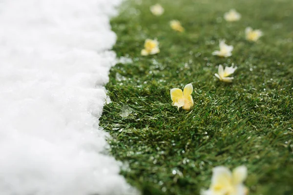 在冬季和春季的概念背景下, 在绿色草地上相遇雪 — 图库照片