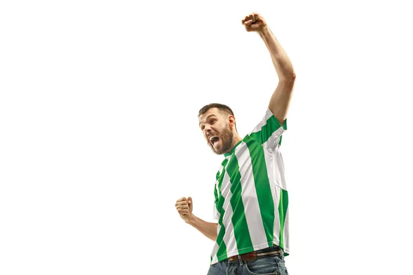 Abanico irlandés celebrando sobre fondo blanco — Foto de Stock