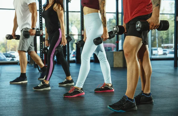 Un grupo de atletas musculares haciendo ejercicio en el gimnasio — Foto de Stock