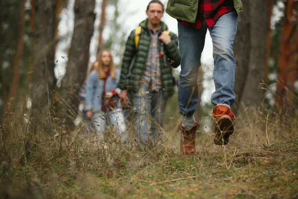 Group of friends on a camping or hiking trip in autumn day — Stock Photo, Image