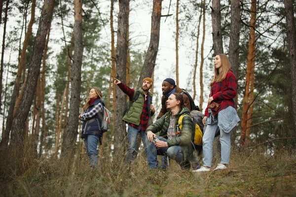 Group of friends on a camping or hiking trip in autumn day — Stock Photo, Image