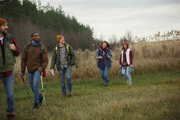 Vriendengroep op een kampeer- of wandeltocht in de herfstdag — Stockfoto