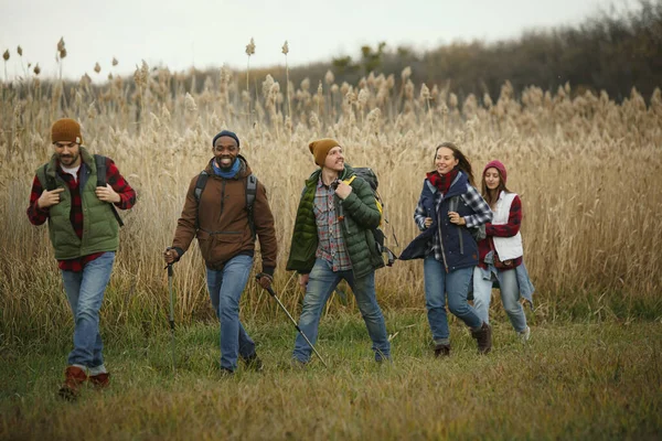 Group of friends on a camping or hiking trip in autumn day — Stock Photo, Image