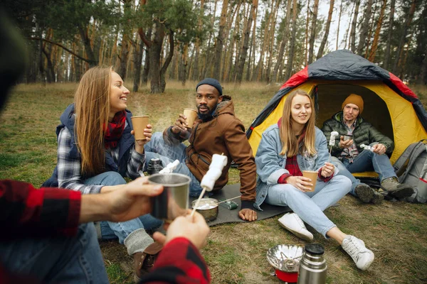 Group of friends on a camping or hiking trip in autumn day
