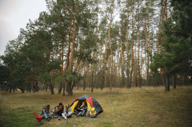 Bir grup arkadaş sonbahar günü kampa ya da yürüyüşe gider.