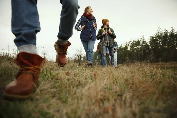 Group of friends on a camping or hiking trip in autumn day — Stock Photo, Image